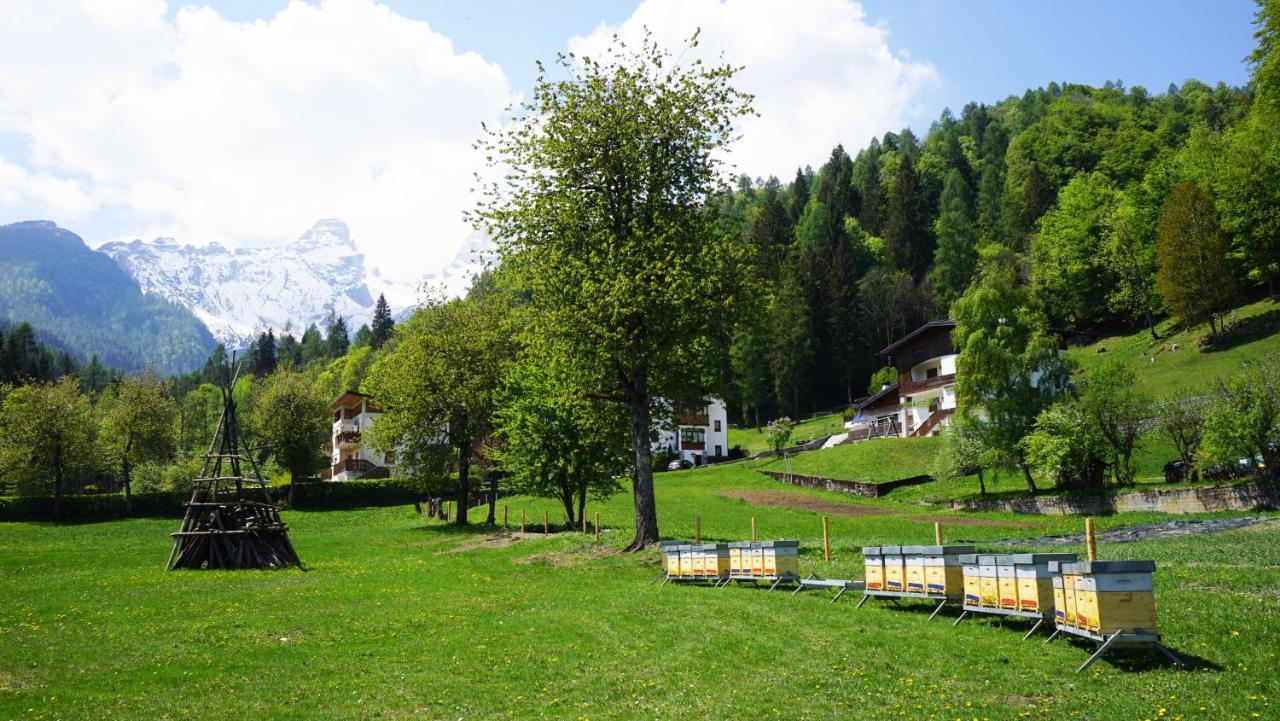 Bed & Breakfast La Sloda *